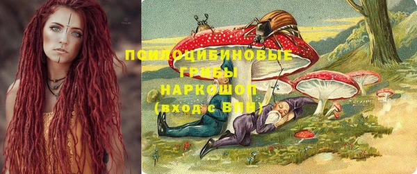 тгк Аркадак