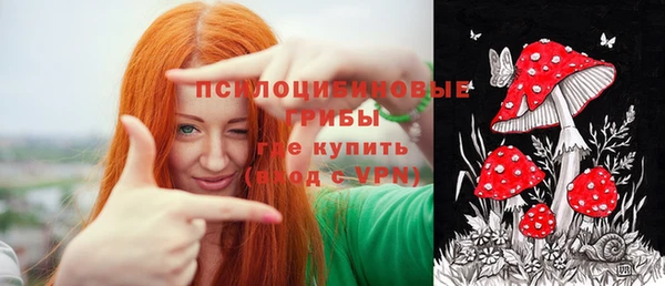 трава Армянск