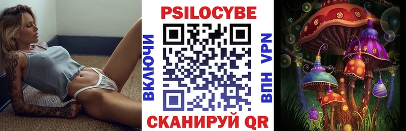 дарнет шоп  Очёр  гидра ссылки  Галлюциногенные грибы мицелий 